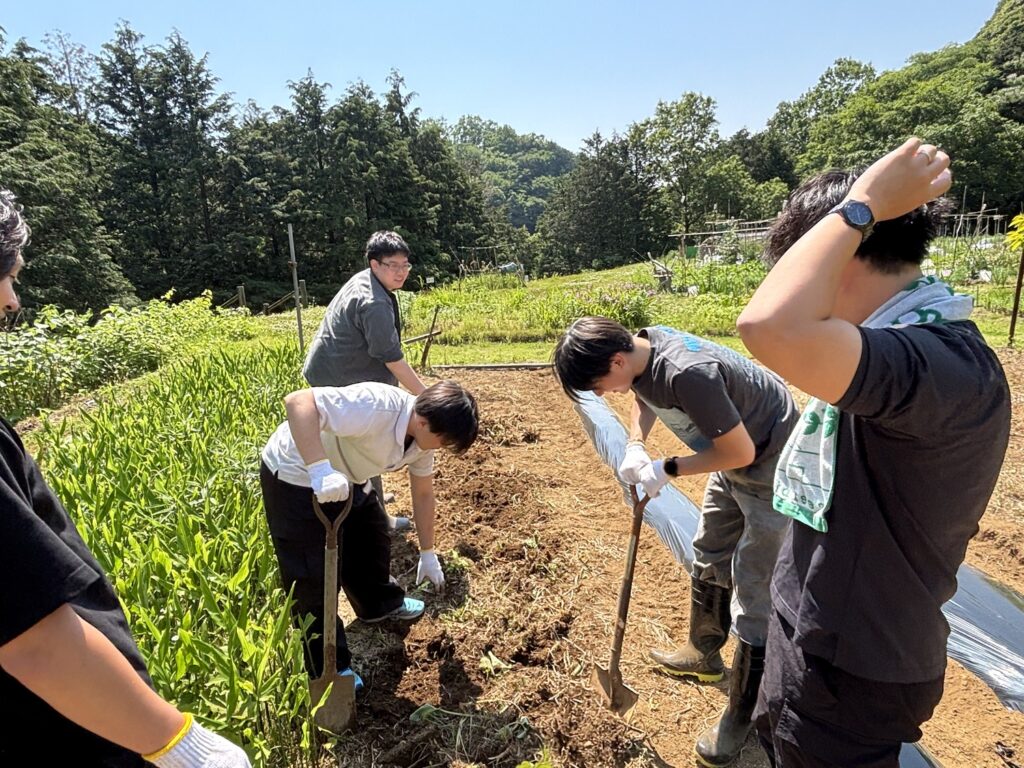 自然に囲まれた畑で、参加者たちが土を掘り起こしながら作業している様子。