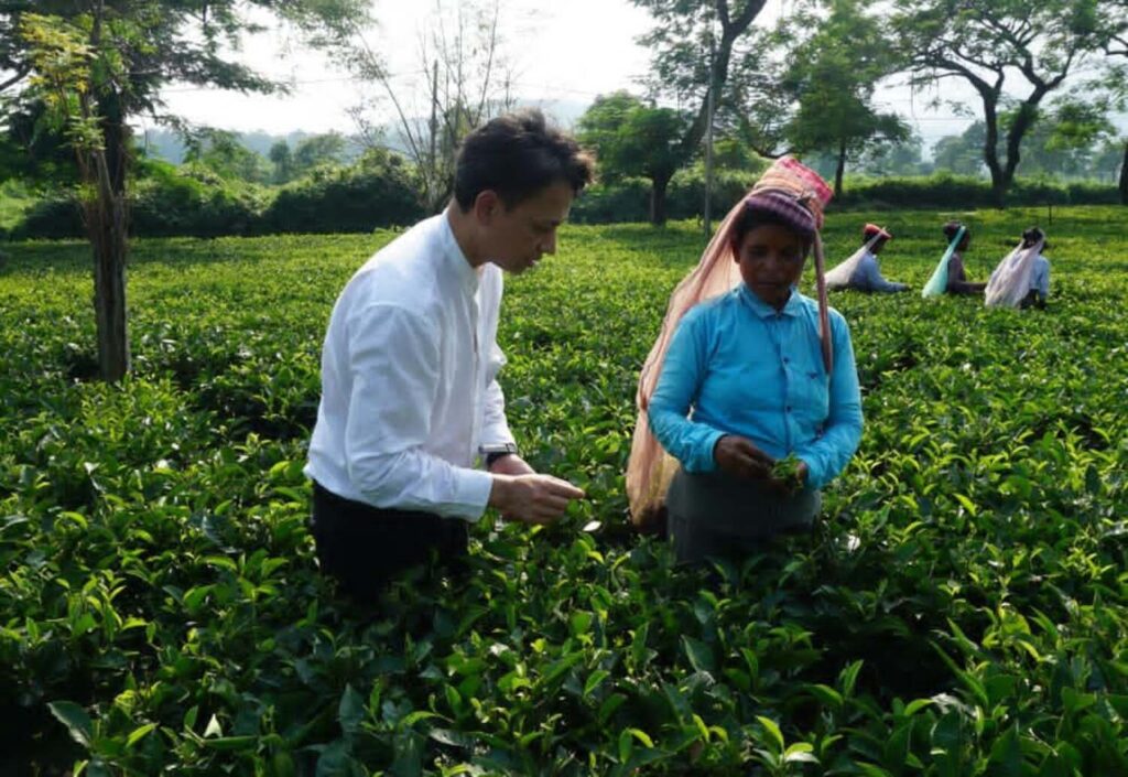 茶畑の中で茶葉を確認する大久保玲夫奈さんと、茶葉を手にする現地の作業者